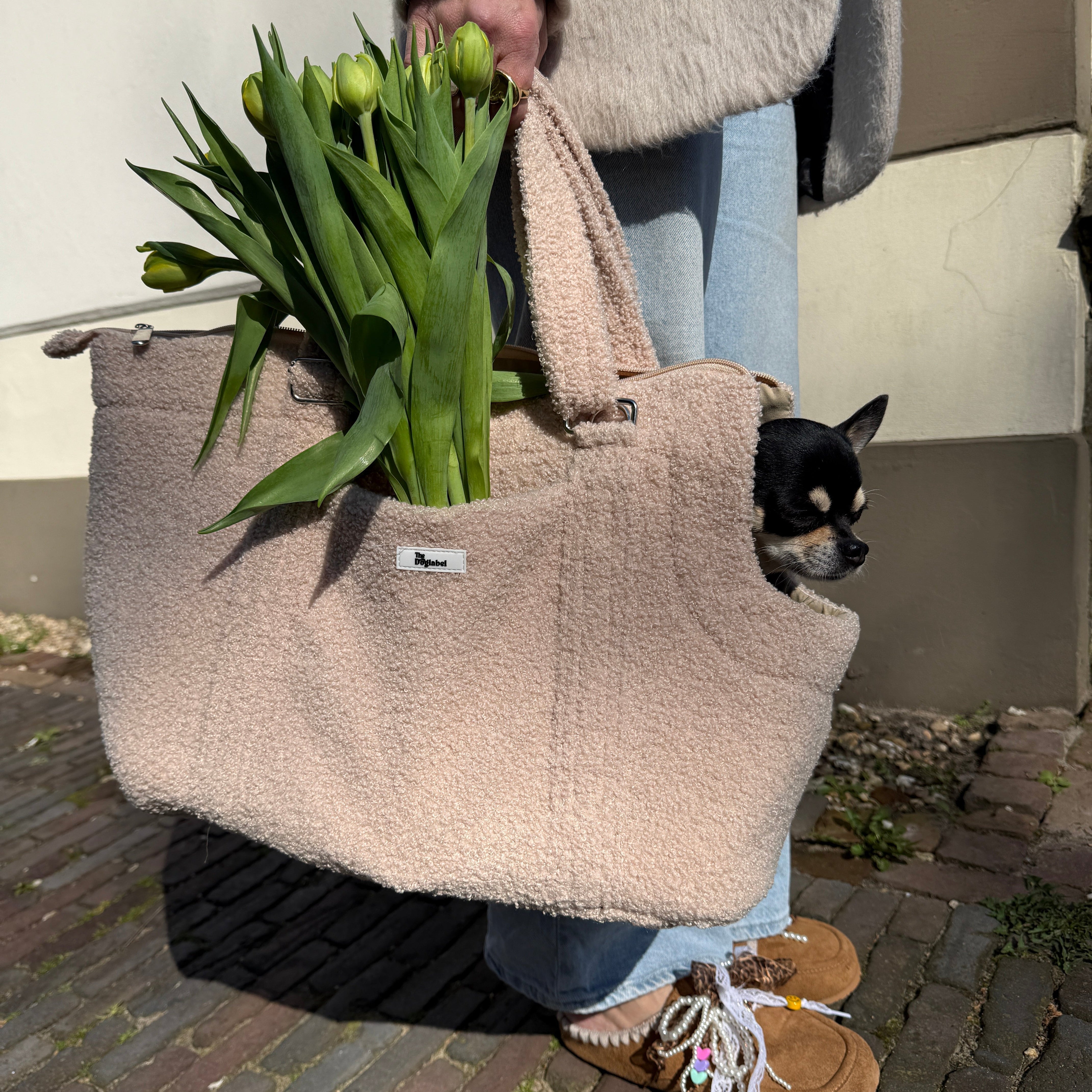 Voorjaar met je hondje – stijlvol en comfortabel op pad