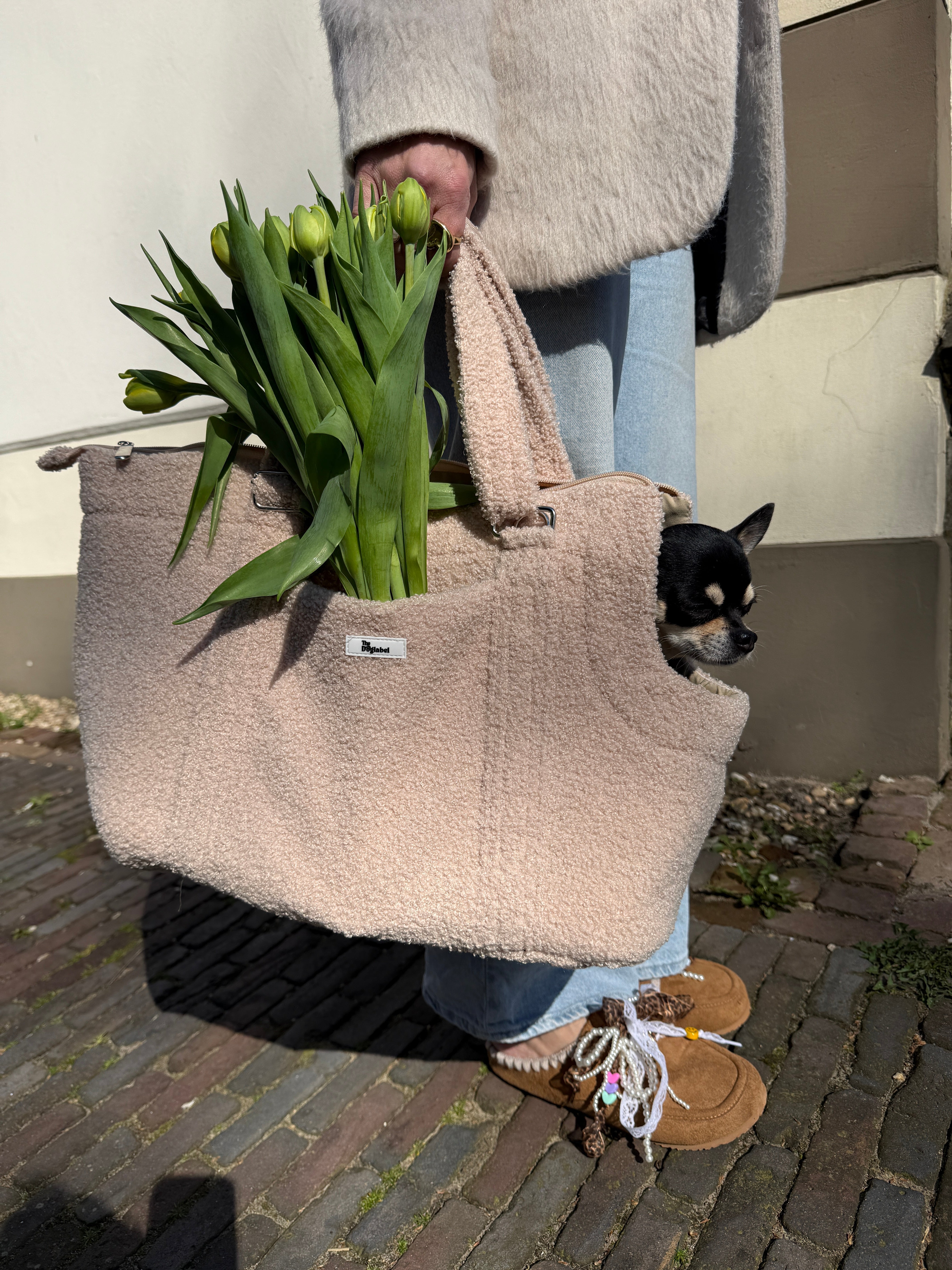 Voorjaar met je hondje – stijlvol en comfortabel op pad
